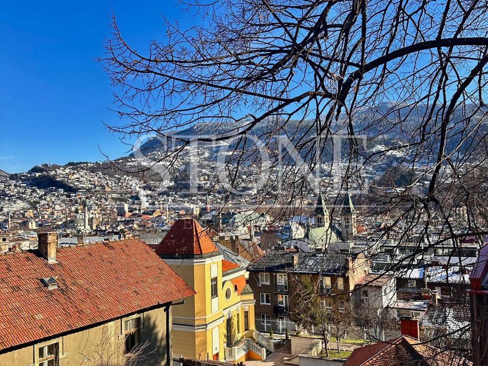 photo_1_2026-02-23_12-14-40101